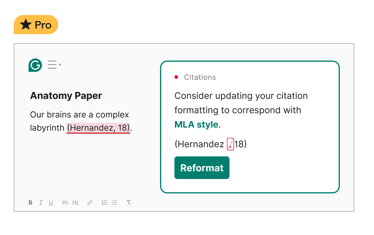 Someone using the citation generator while writing a paper on anatomy