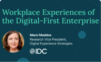 Workplace Experiences of the Digital-First Enterprise