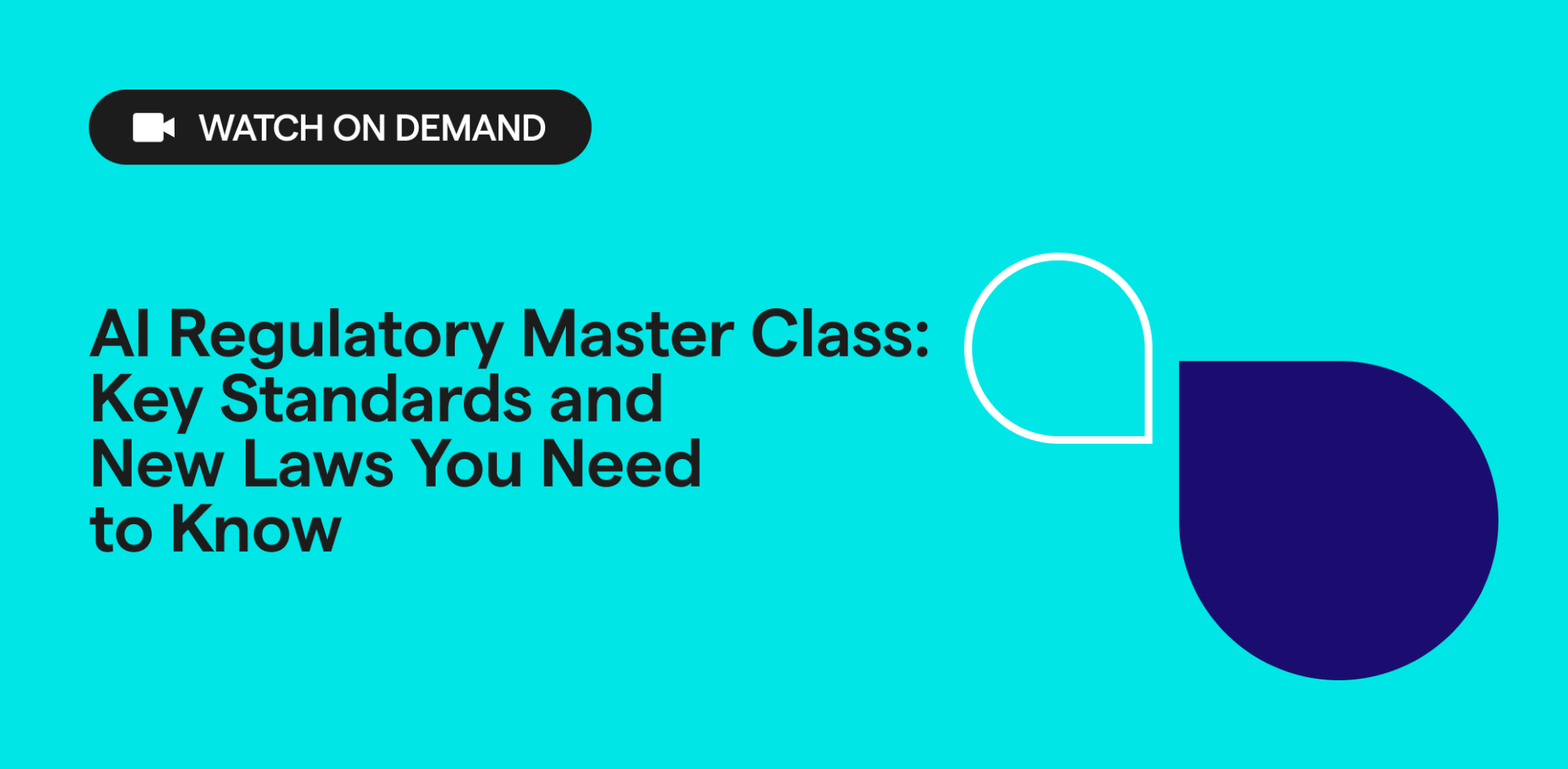 AI Regulatory Master Class